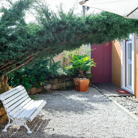 Holiday Home Casa Olivia By Interhome 別荘